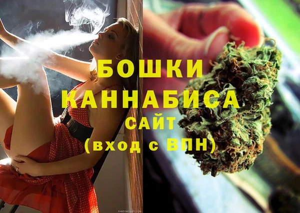 ALPHA PVP Ельня