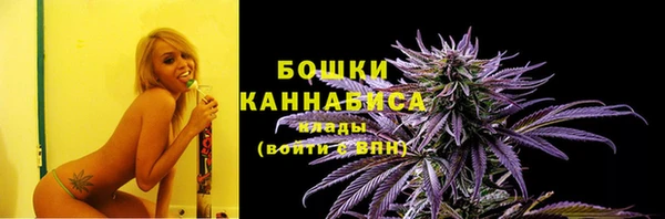 ALPHA PVP Ельня