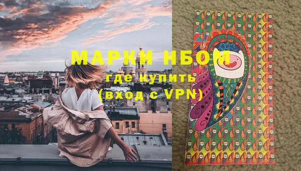 крисы Елизово